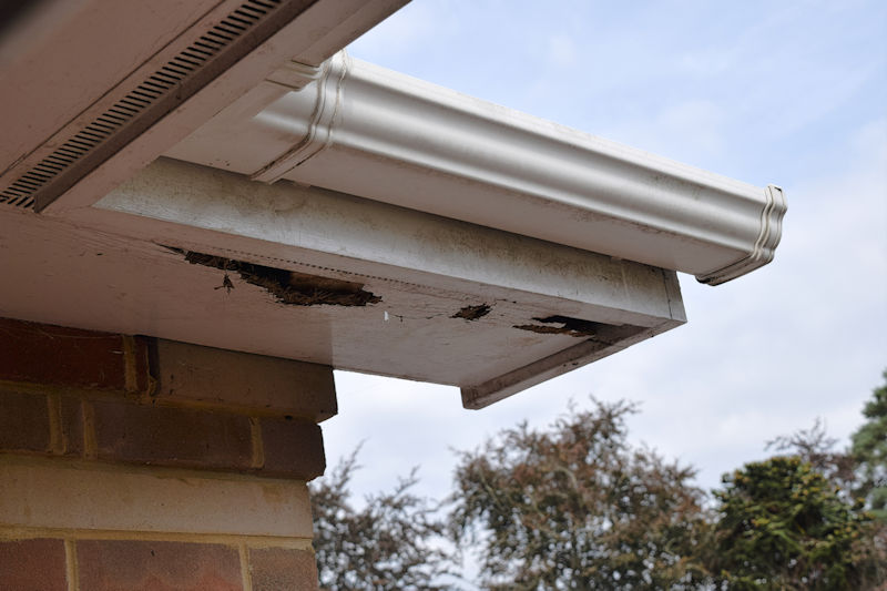 damaged soffit